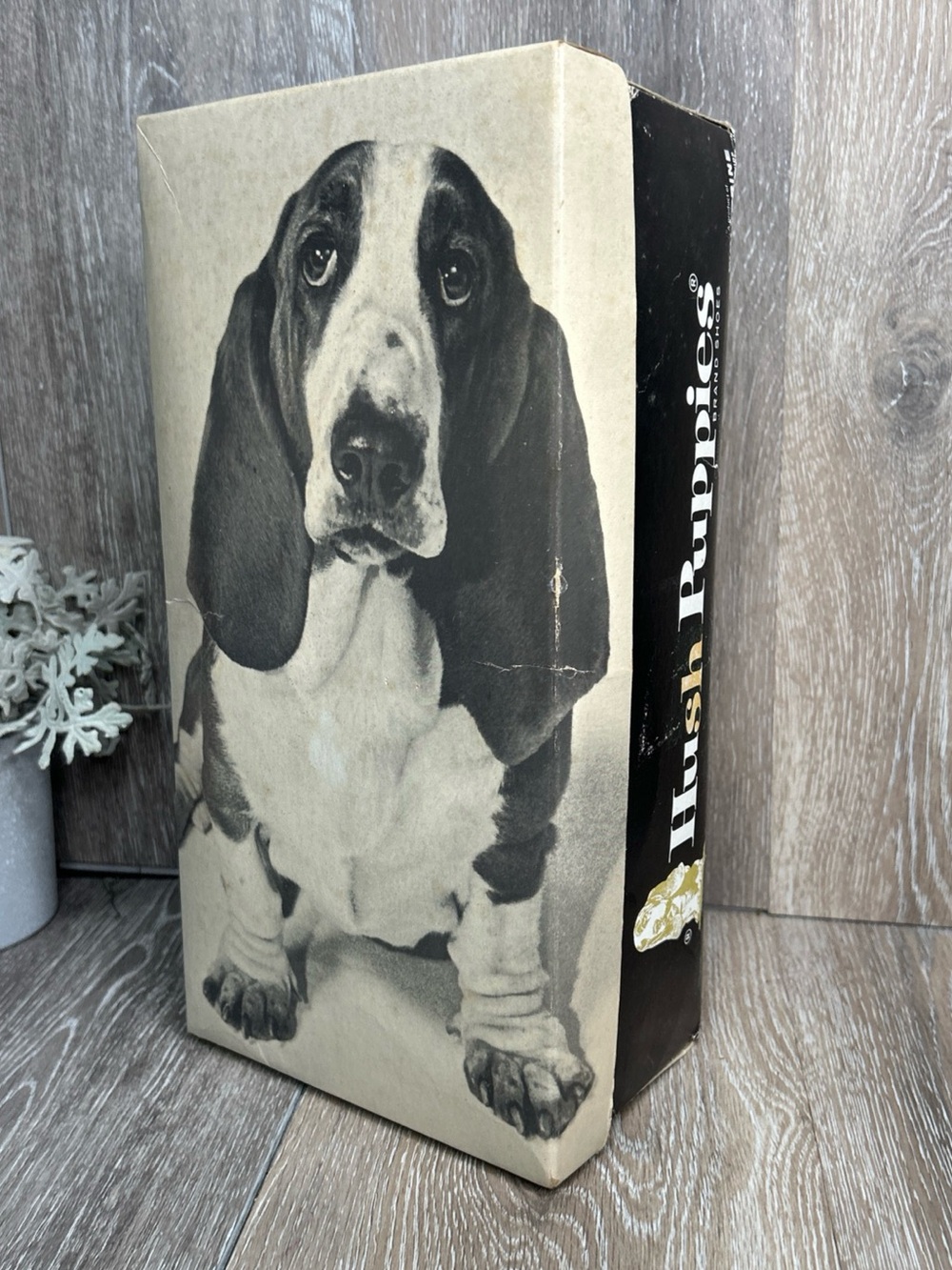 Vintage Hush Puppies Shoe Box Only Basset Hound Dog Wolverine Worldwide Display